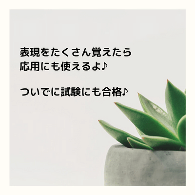 英検１級 のライティング 英作文 と二次試験 面接 対策に使った表現集大公開 英語初心者主婦が独学で英語を仕事にするまで